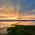 Lake Nakuru: Can I Picnic Safely With Children? -- Photo by Tom Fisk on Pexels