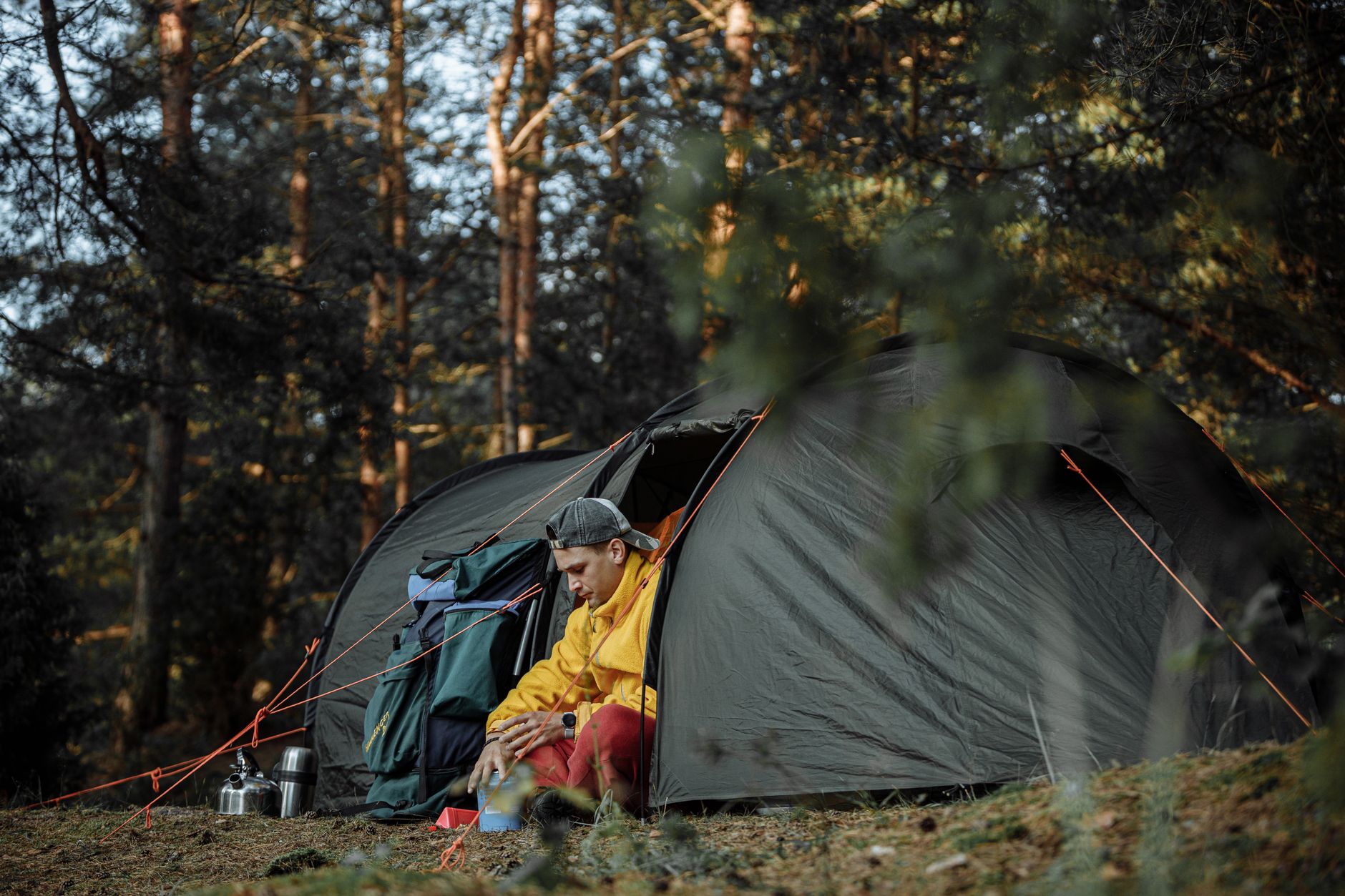 Why Do Safari Camps Lock Tents? Stay Safe at Night -- Photo by Thirdman on Pexels