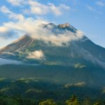 Volcanoes Gorilla Trek What to Expect: 8 Stages, 1 Hour -- Photo by mpo atm on Pexels