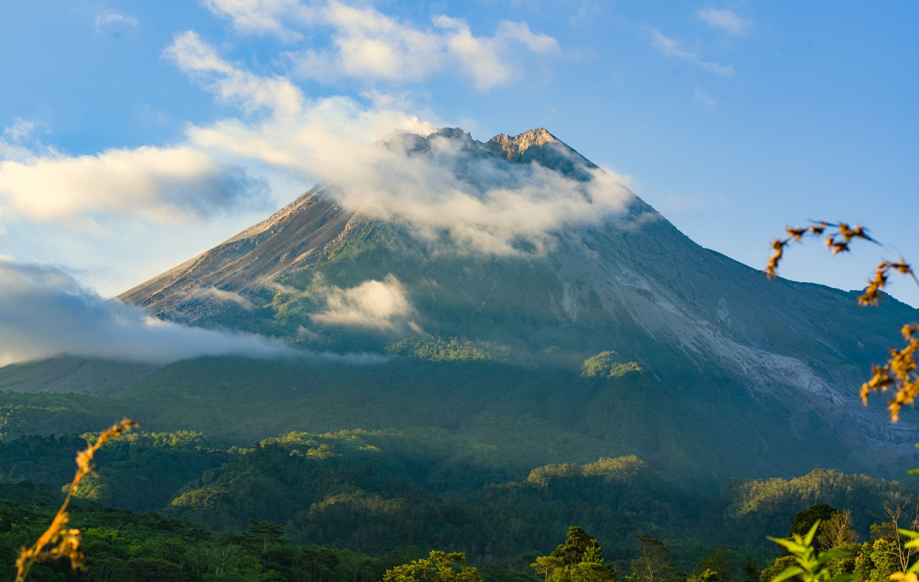 Volcanoes Gorilla Trek What to Expect: 8 Stages, 1 Hour -- Photo by mpo atm on Pexels