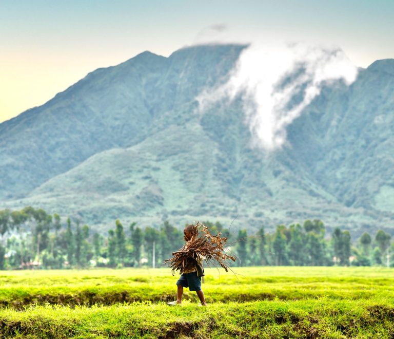 How to Choose a Gorilla Trek Porter: 7 Smart Checks -- Photo by shutter click on Pexels