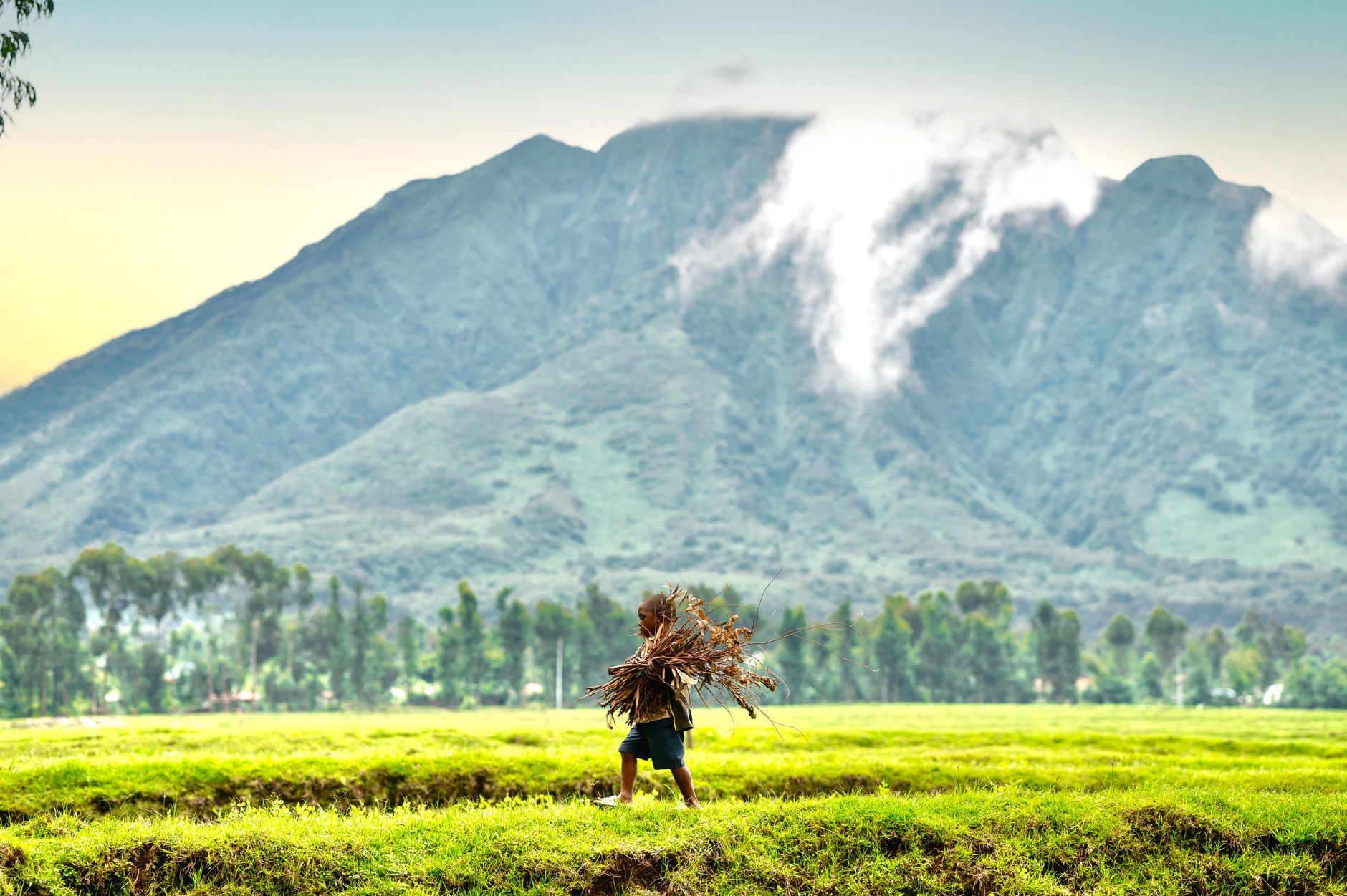 How to Choose a Gorilla Trek Porter: 7 Smart Checks -- Photo by shutter click on Pexels
