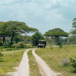 Kilimanjaro Safari Acclimatization Days: 7-9-Day Plan -- Photo by Keegan Checks on Pexels