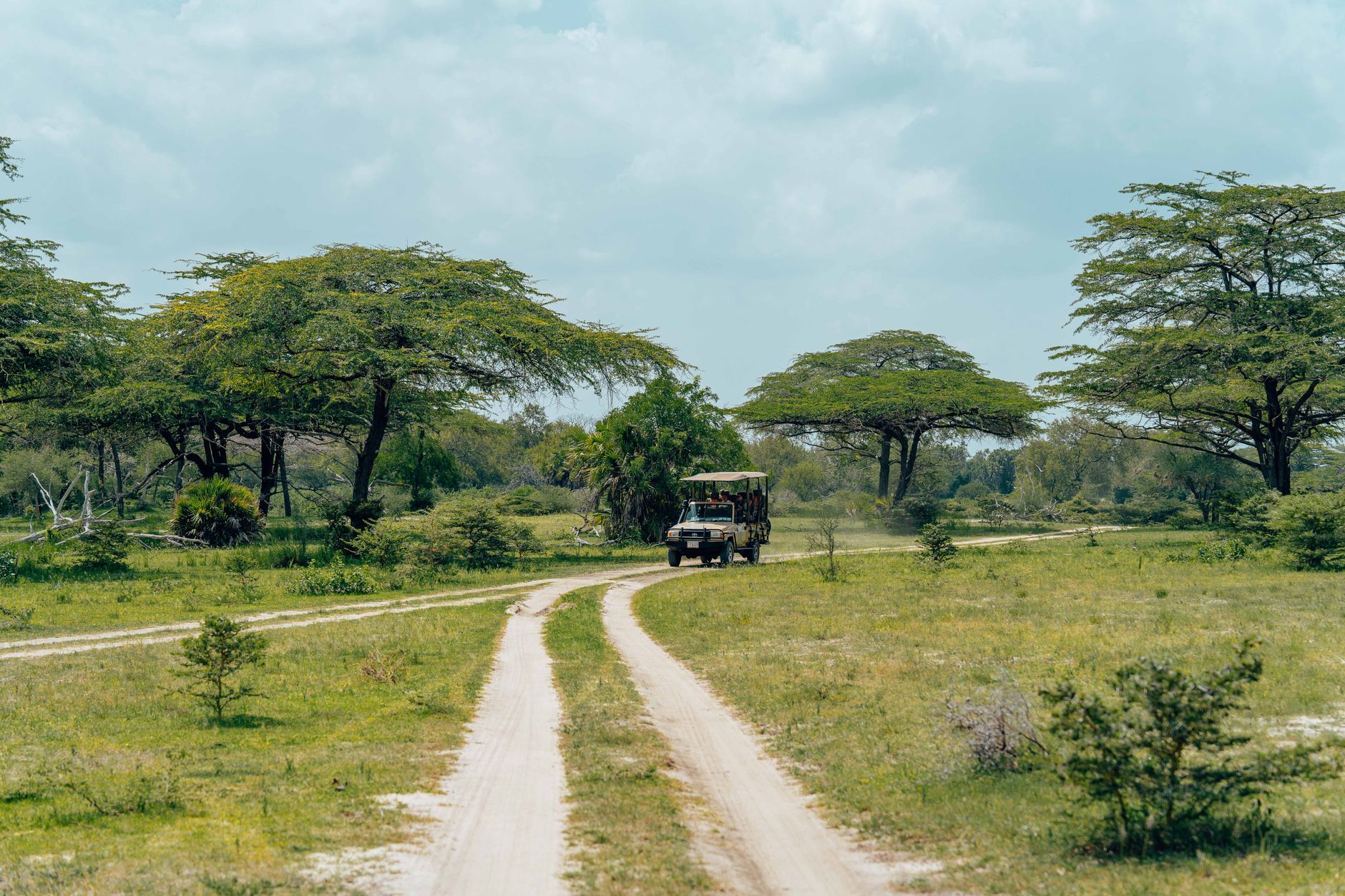 Kilimanjaro Safari Acclimatization Days: 7-9-Day Plan -- Photo by Keegan Checks on Pexels