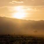 Ngorongoro Safari Rim vs Crater: Best Stay -- Photo by Vishva Patel on Pexels