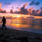 Zanzibar Safari Beach September: Best Honeymoon Plan -- Photo by Zebari Visuals on Pexels