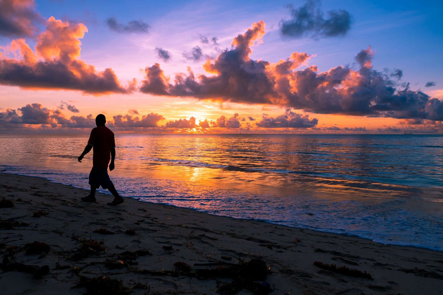 Zanzibar Safari Beach September: Best Honeymoon Plan -- Photo by Zebari Visuals on Pexels