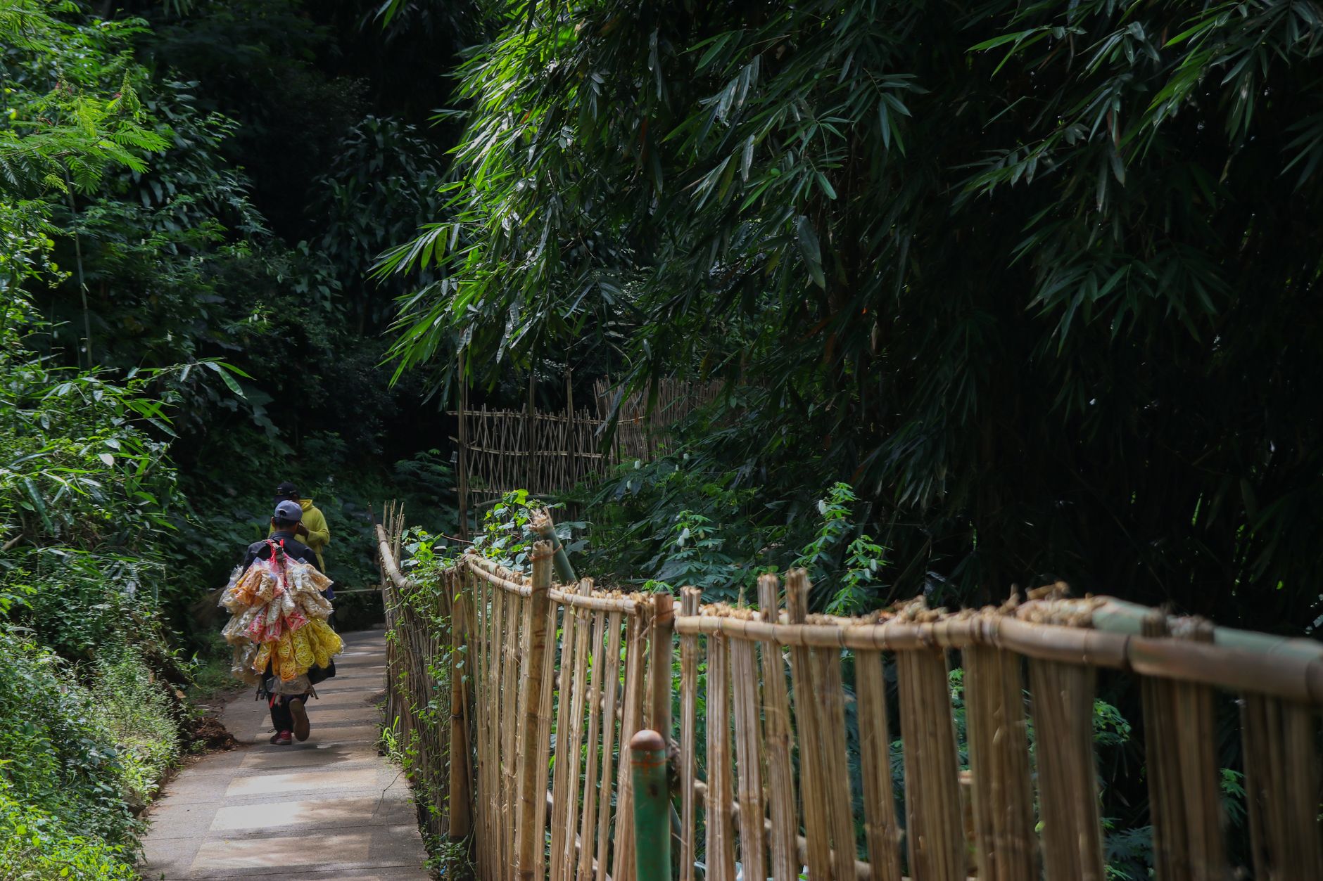 Bwindi Trek Porter Worth It: The $20 Decision -- Photo by Muhamad Firdaus on Pexels