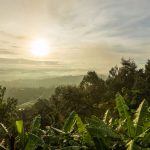 Can Bwindi Trek Happen in Rain? Yes - Here's What Changes -- Photo by Serg Alesenko on Pexels
