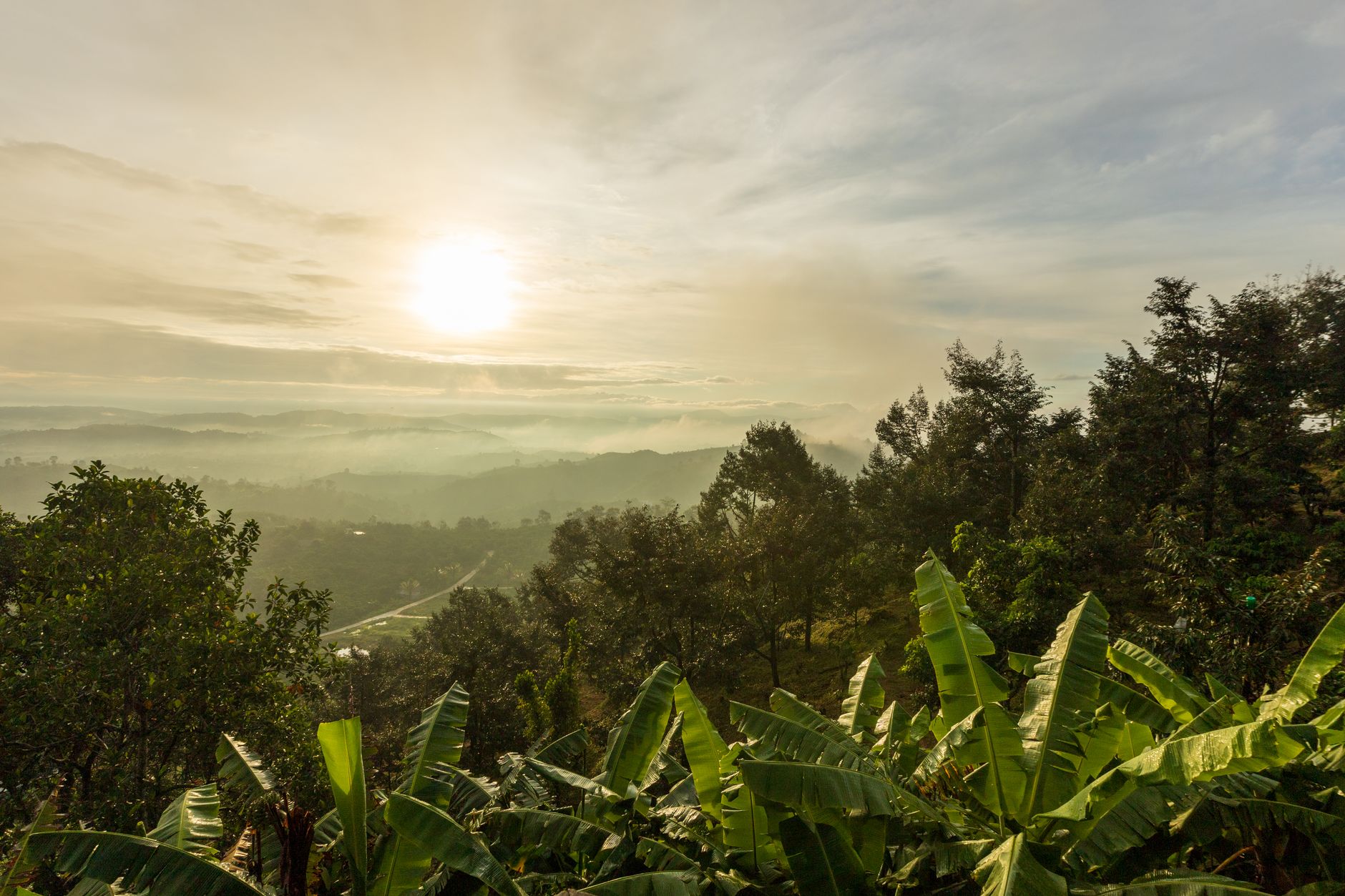 Can Bwindi Trek Happen in Rain? Yes - Here's What Changes -- Photo by Serg Alesenko on Pexels