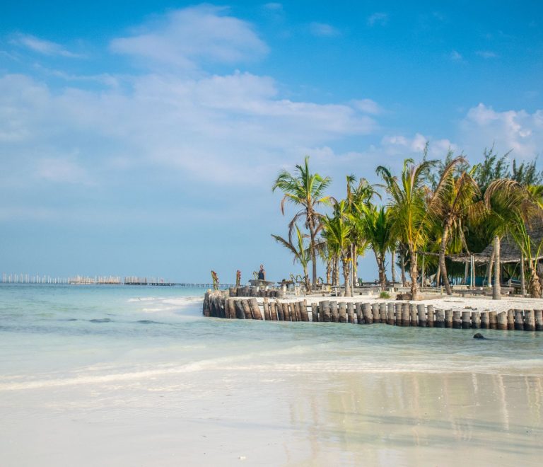 Diani Beach Versus Zanzibar for Honeymoon: 7 Key Choices -- Photo by Ákos Helgert on Pexels