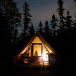 what if my safari tent has insects: Family Fixes -- Photo by Alexandre Boucher on Pexels
