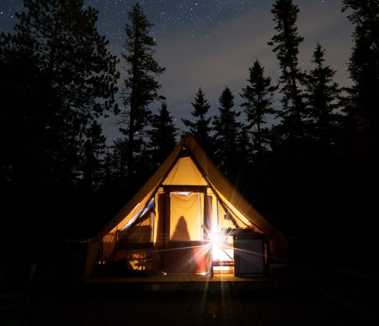 what if my safari tent has insects: Family Fixes -- Photo by Alexandre Boucher on Pexels