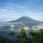Bwindi vs Volcanoes for Older Travelers: 3 Fitness Factors -- Photo by Tom Fisk on Pexels