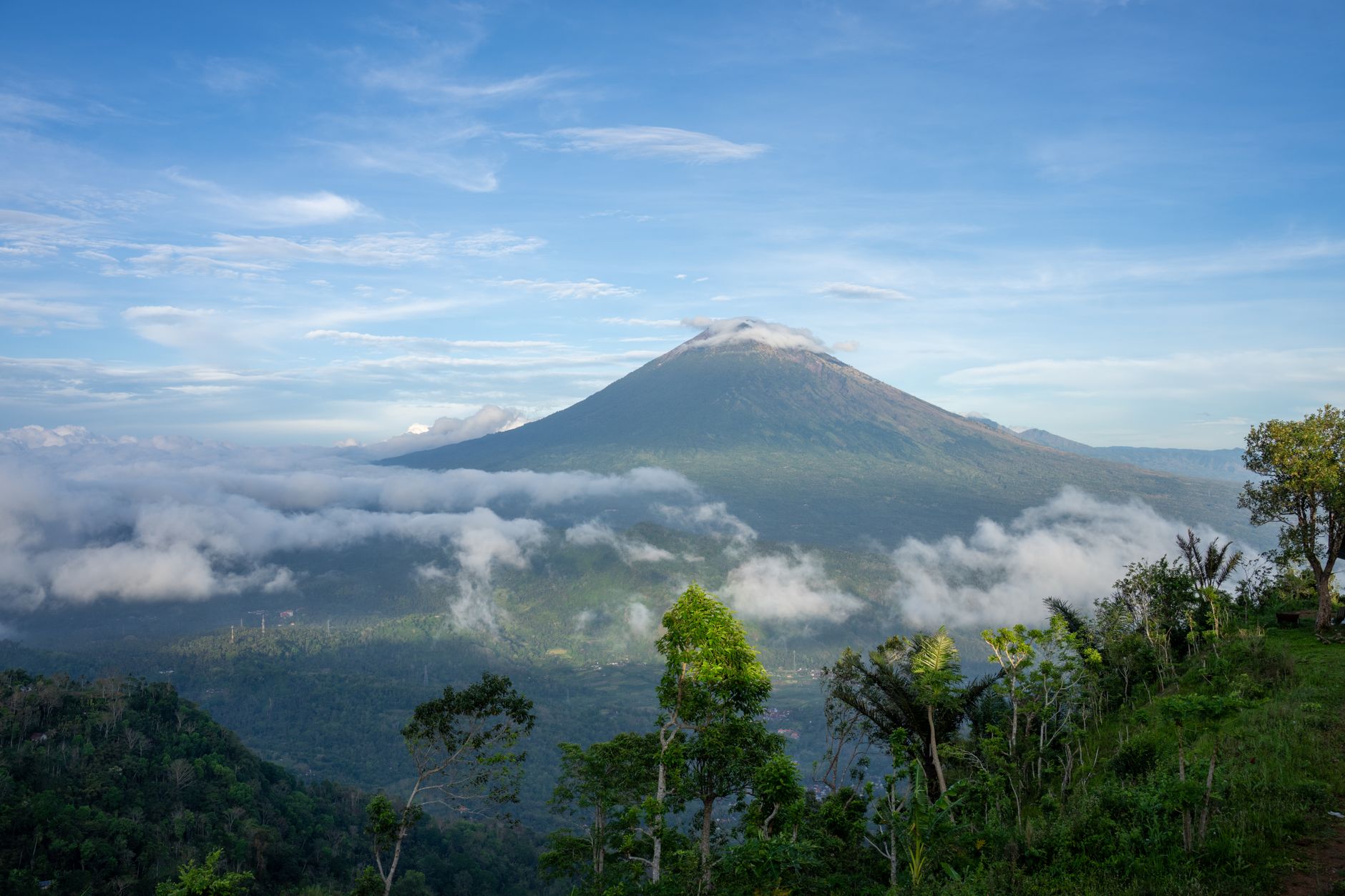 Bwindi vs Volcanoes for Older Travelers: 3 Fitness Factors -- Photo by Tom Fisk on Pexels