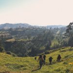 Nyungwe Chimp Trek Versus Canopy Walk: $100 vs $60 Compared -- Photo by Nicky Manosalva on Pexels