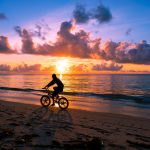 Zanzibar Safari Beach Rainy Season: 6 Trade-Offs to Know -- Photo by Zebari Visuals on Pexels