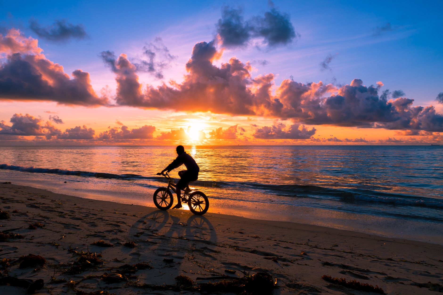 Zanzibar Safari Beach Rainy Season: 6 Trade-Offs to Know -- Photo by Zebari Visuals on Pexels