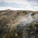 Volcanoes Gorilla Trek Permit Booking: 2026 Prices -- Photo by Adriana Muñoz on Pexels