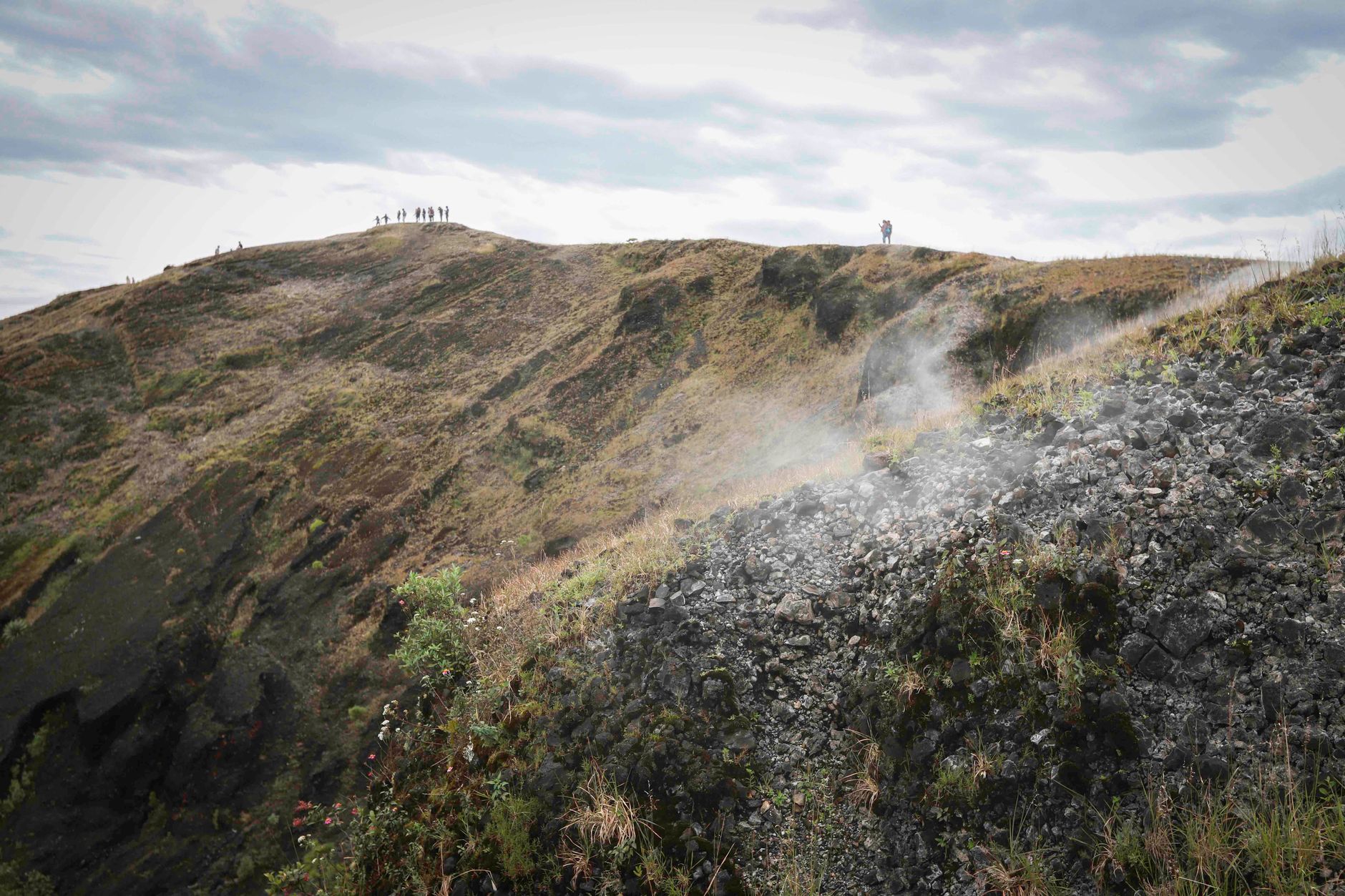 Volcanoes Gorilla Trek Permit Booking: 2026 Prices -- Photo by Adriana Muñoz on Pexels